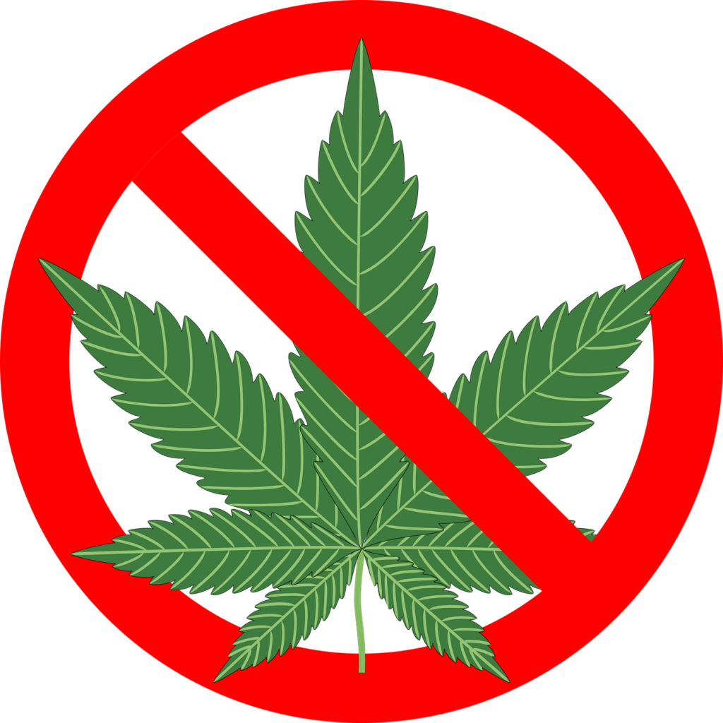 Doit-on prendre acte de l’échec de la politique de répression de la consommation des drogues douces et légaliser le cannabis ?